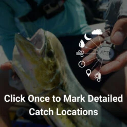 Anglr Bullseye Fishing Tracker W/ GPS App -Fishing Equipment Store anglr bullseye white fishing tracker 33333.1651073207