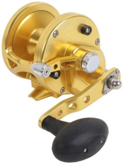Avet JX 6.0 G2 1 Speed Reel - Gold (No Glide Plate)