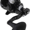 Avet SXJ 6/4 G2 NGP 2-Speed Reel - Black (No Glide Plate)