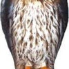 Bird-B-Gone RTH1 Hawk Decoy