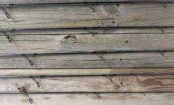 ODM 2021 Genesis Surf Spinning Rods -Fishing Equipment Store odm rods genesis saltwater surf spinning rods 94577.1651081251