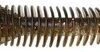 Savage Gear Dragon Tail - 8in - Black And Gold