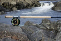 Thomas & Thomas DNA Spey Series Fly Rods -Fishing Equipment Store thomas thomas dna spey series fly rods 81366.1651330444