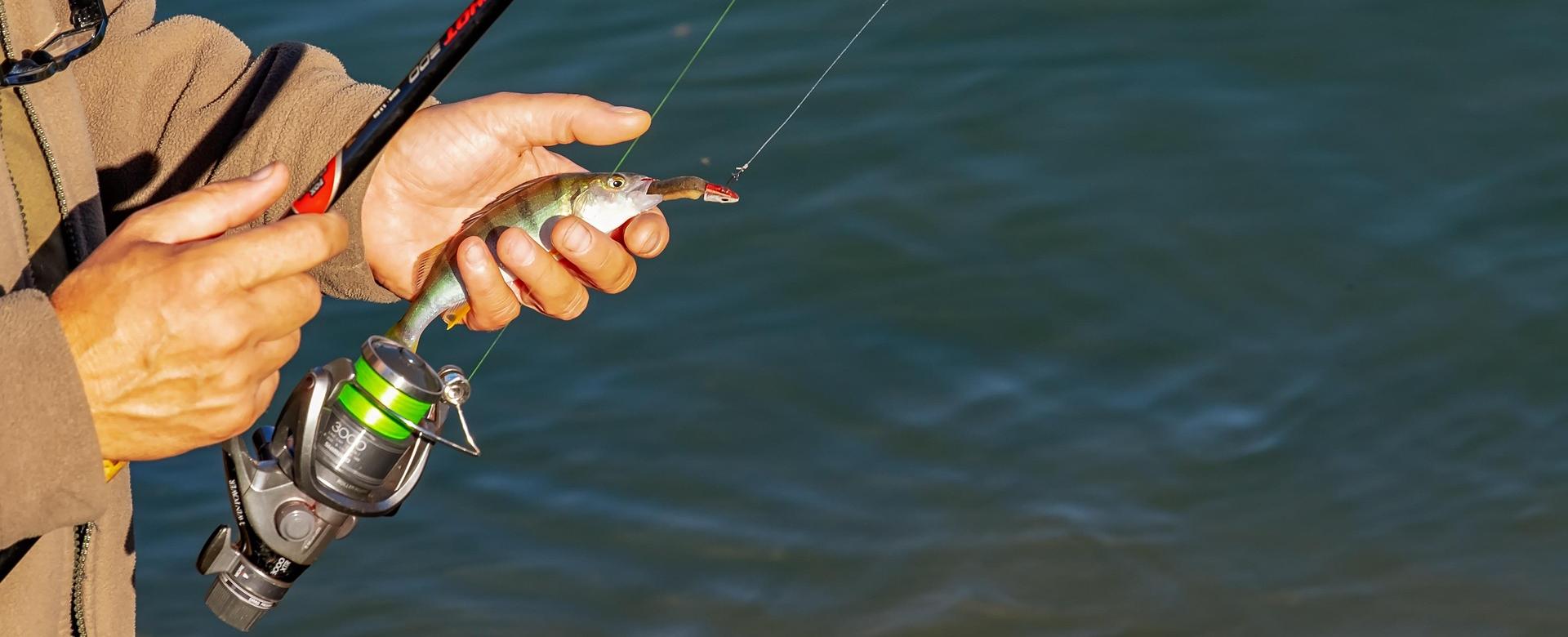 Fishing Equipment Store -Fishing Equipment Store angler 3778880 1920